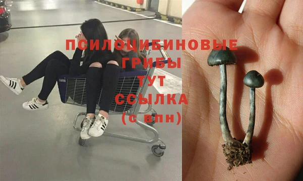 дистиллят марихуана Мегион